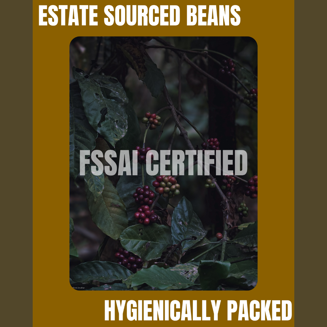 Premium Arabica & Robusta Blend With Chicory